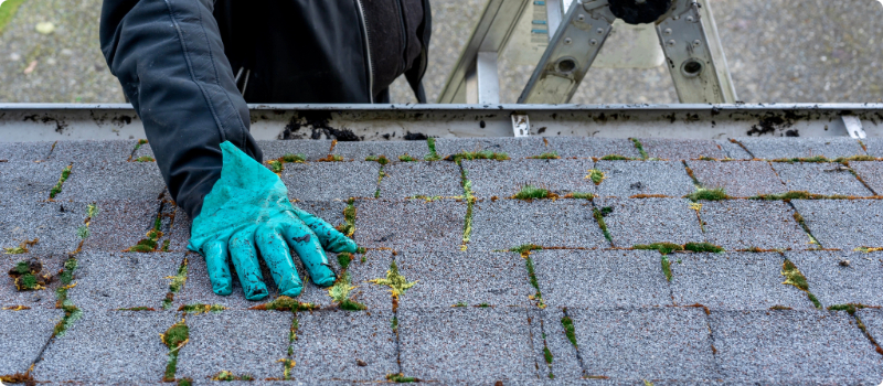 A close up of a homeowner inspecting their roof.