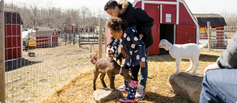 Two happy kids petting animals at a hobby farm.