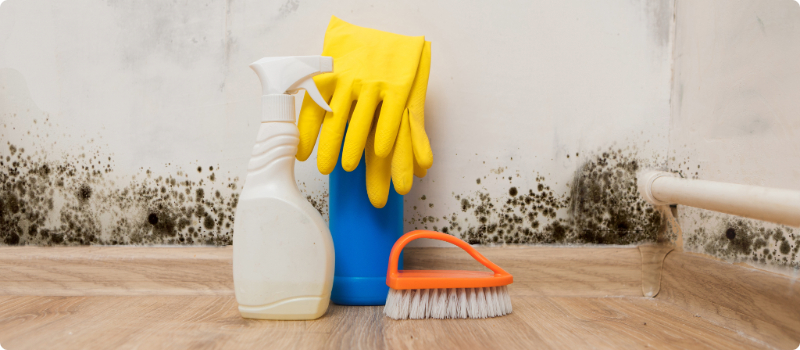 A moldy wall with cleaning supplies sitting on the floor in front of it. 