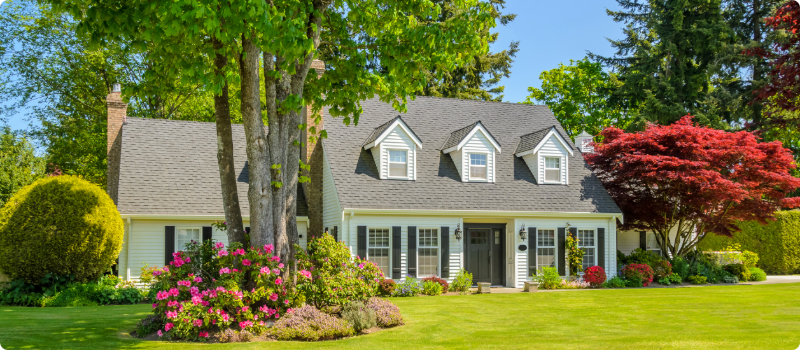 A new home surrounded by trees, green grass and thriving plants.