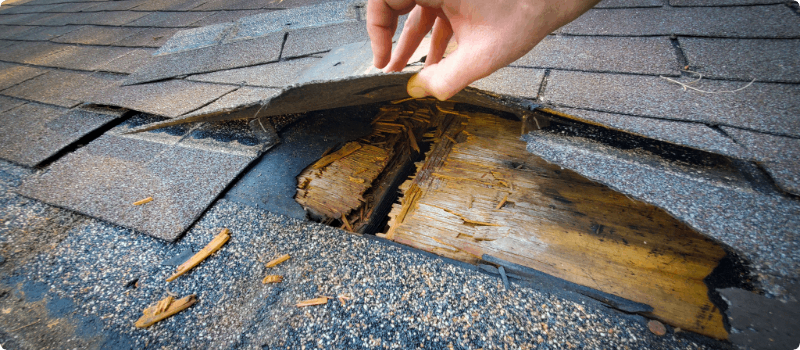 Roof in need of a repair.