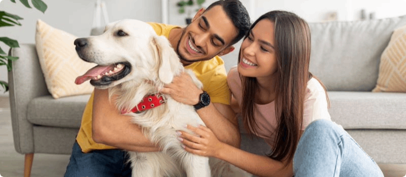 Happy couple hugging their dog in their living room. 