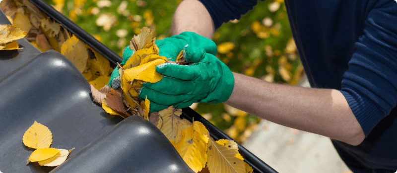 A close-up of a person pulling leaves from a gutter. 