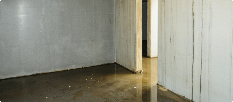 A flooded basement.