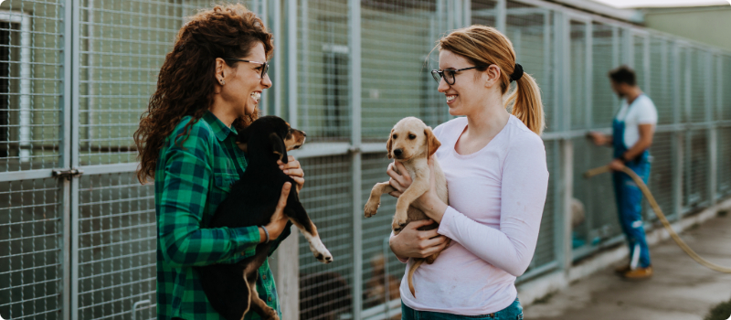 Two animal shelter workers holding puppies while talking. 