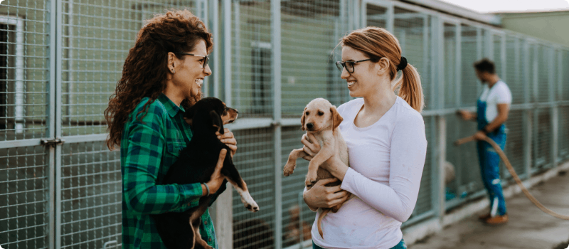 A mentor and mentee volunteers at an animal shelter holding puppies.