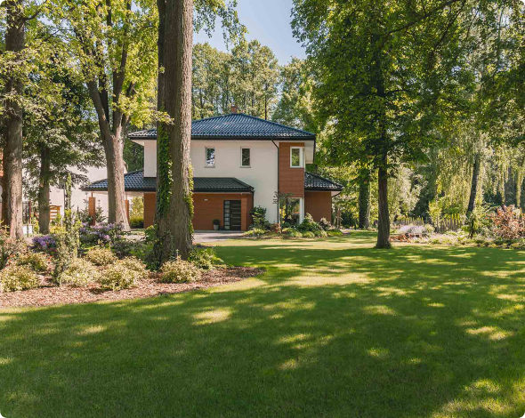 Does homeowners insurance cover fallen trees? | American Family Insurance