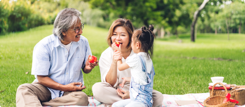 an older couple having a picnic with their grandchild