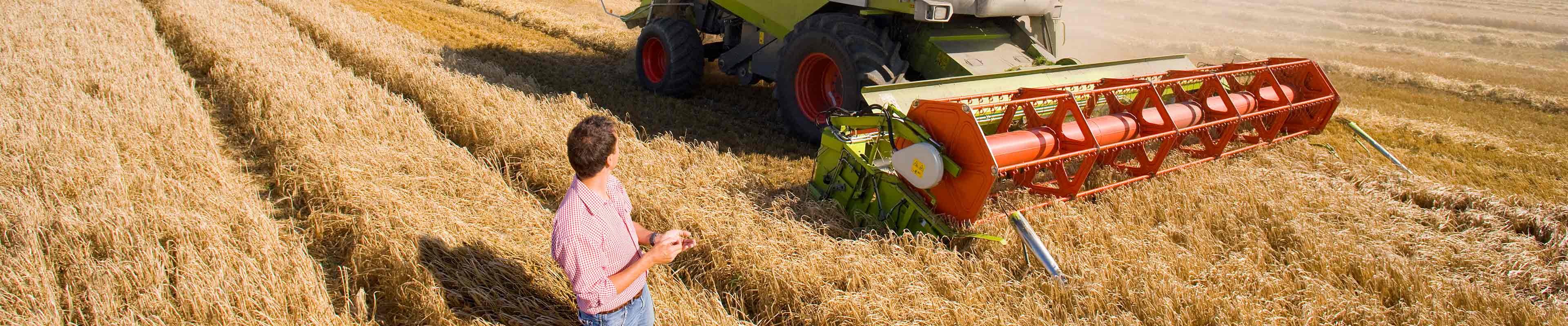 How to Find and Rent Land for Farming American Family Insurance