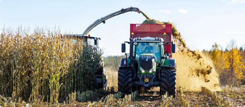 a machine harvesting corn