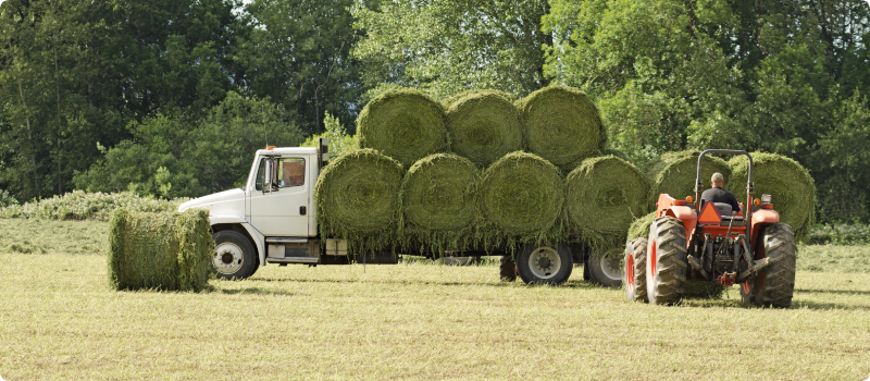 Tractor picking up large round bales