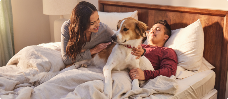 Couple in bed with their pet dog