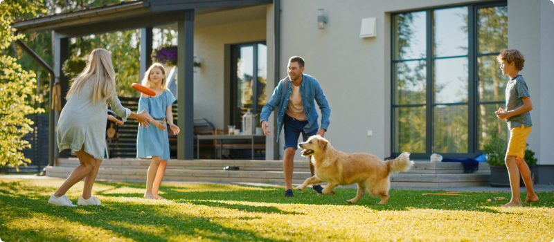 Family of Four Play Fetch flying disc with Happy Golden Retriever Dog on the Backyard Lawn.
