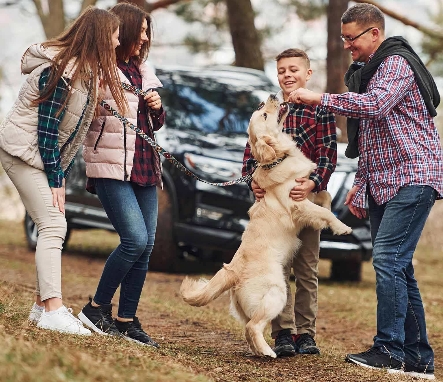 Engagement Ring Insurance  American Family Insurance