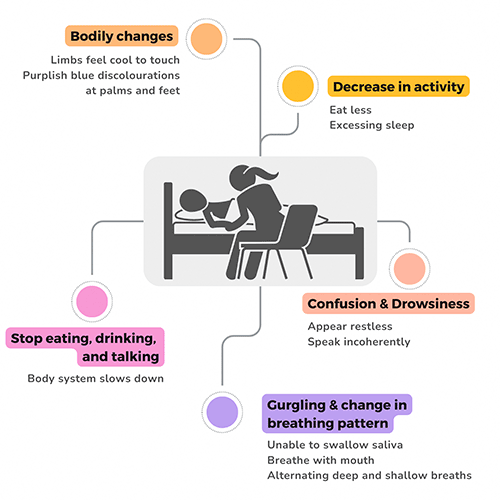 Understand final hours