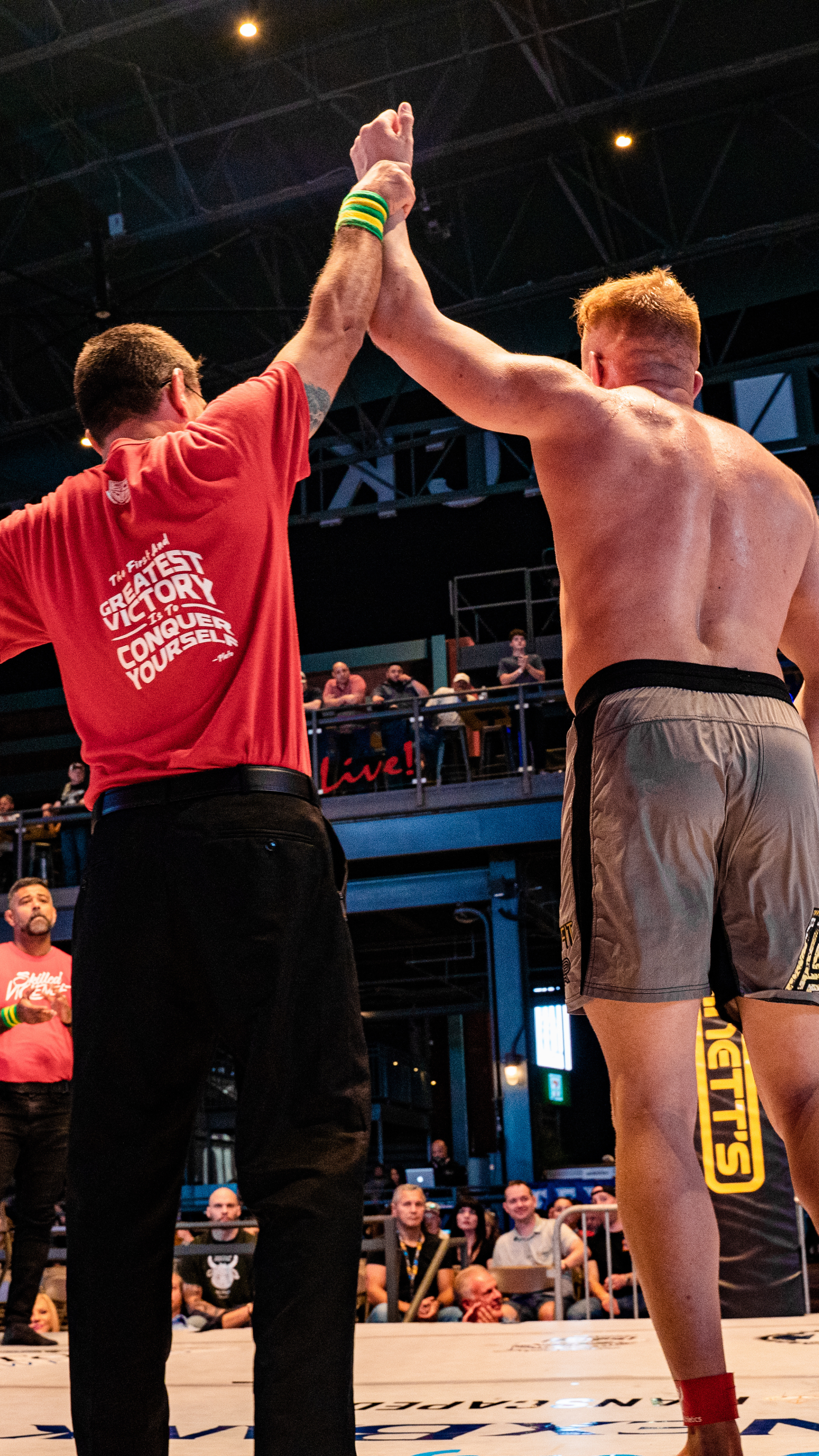 XKO Arlington Backyard