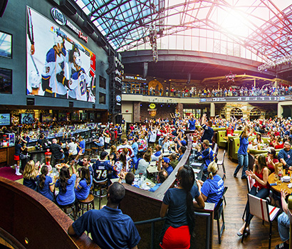 BPV_FSML_BluesPanoDay_410x350