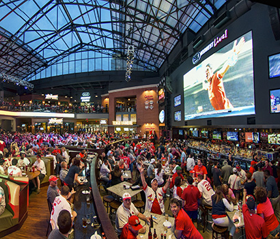 BPV_FSML_CardinalsPano_410x350