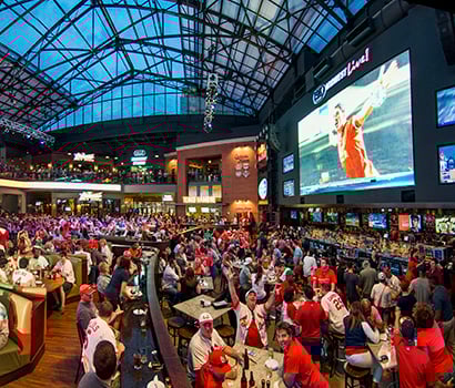 BPV_FSML_CardinalsPano_410x350