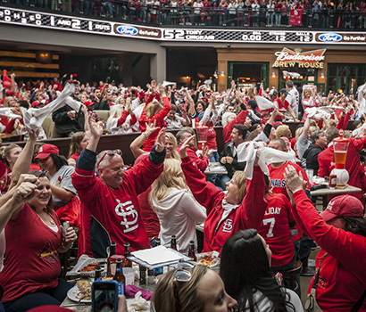 BPV_FSML_FansCheering_410x350