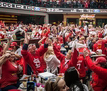 BPV_FSML_FansCheering_410x350