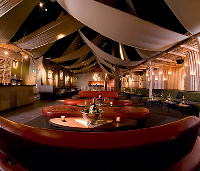 SHRHC_Hollywood_Paradise_Pangaea_410x350