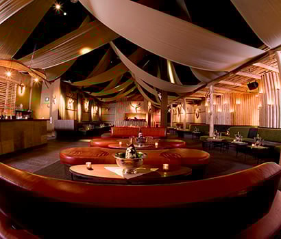 SHRHC_Hollywood_Paradise_Pangaea_410x350