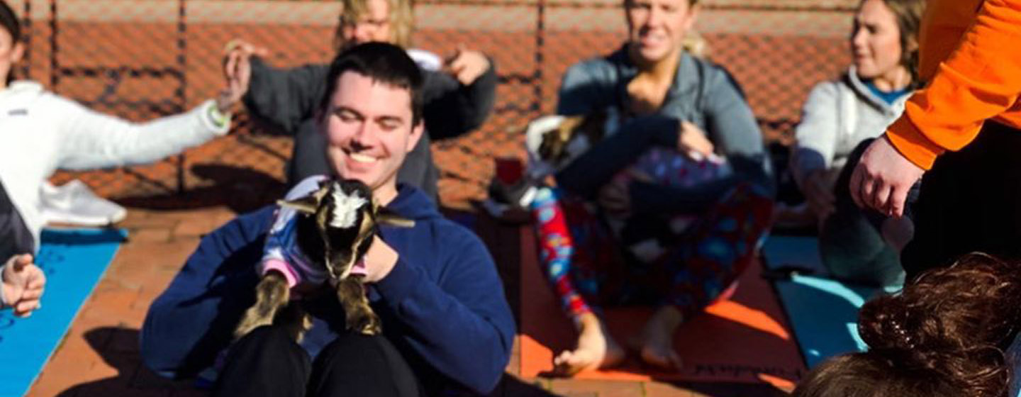 Man doing yoga with baby goats
