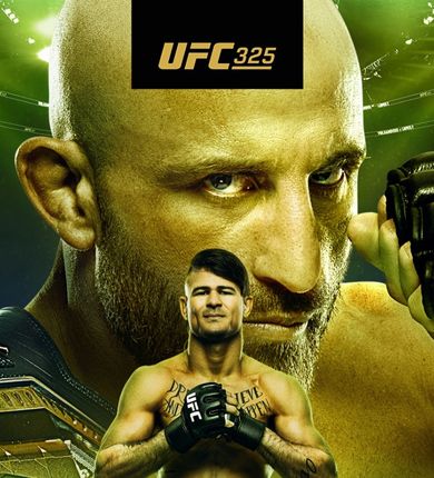 image of the fighters in ufc 325