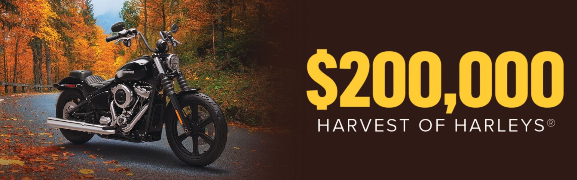 $200,000 Harvest of Harleys. 2025 Harley-Davidson Street Bob Motorcycle on a road with fall foliage in the background.