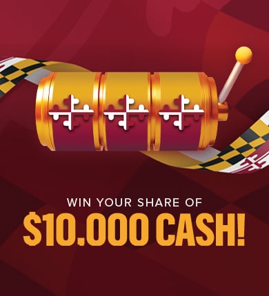 메릴랜드 데이 로고