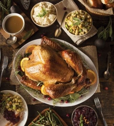 Thanksgiving Turkey