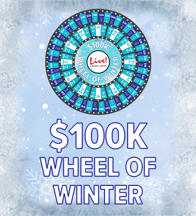 winter wheel logo