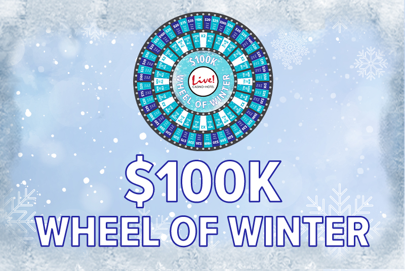 winter wheel logo