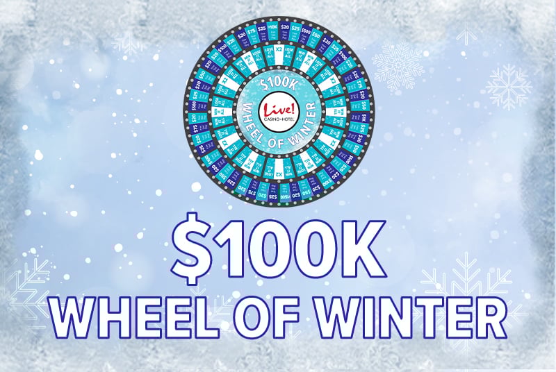 winter wheel logo