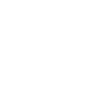 White Sports & Social® Steel City Logo