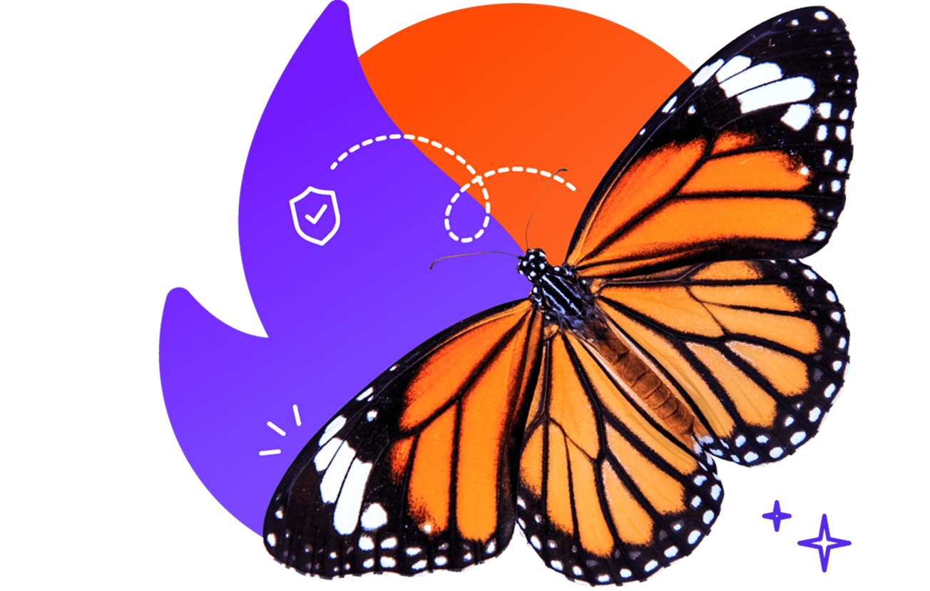 image-butterfly-hero