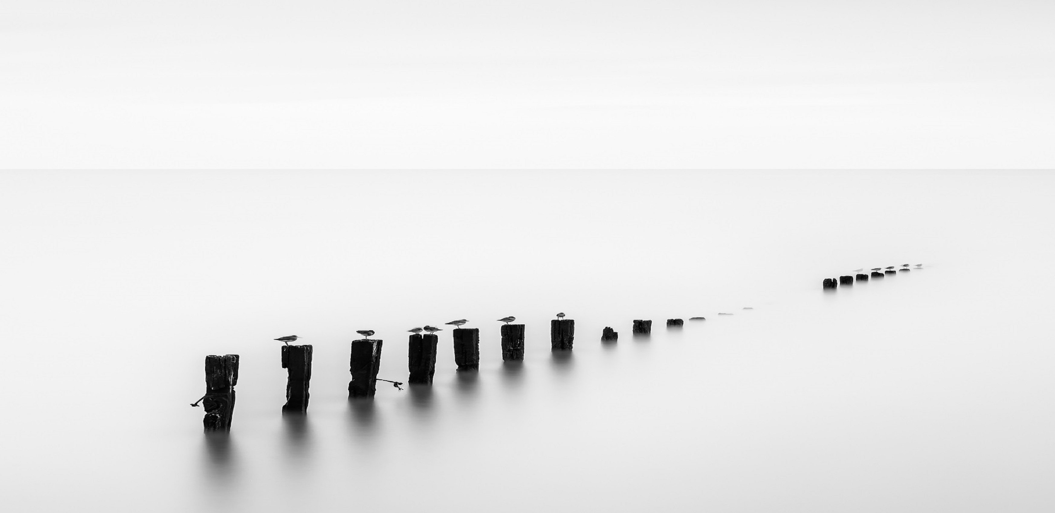 A long exposure shot of the breakwater along the shore. The high tide and clear sky make this shot appear frozen in the winter weather, the dark structure of the posts with the birds perched on top stand out against the stark cold background.