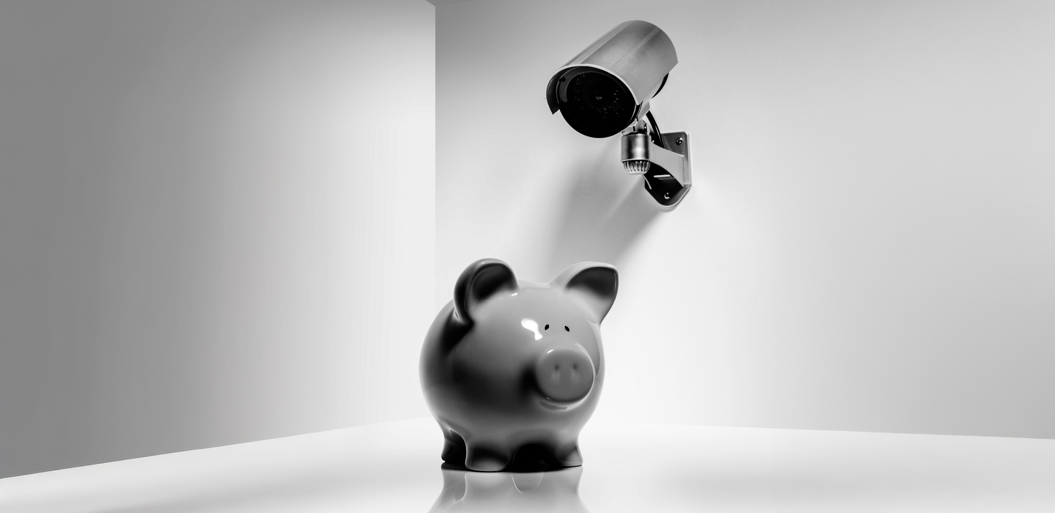 Piggy bank with camera