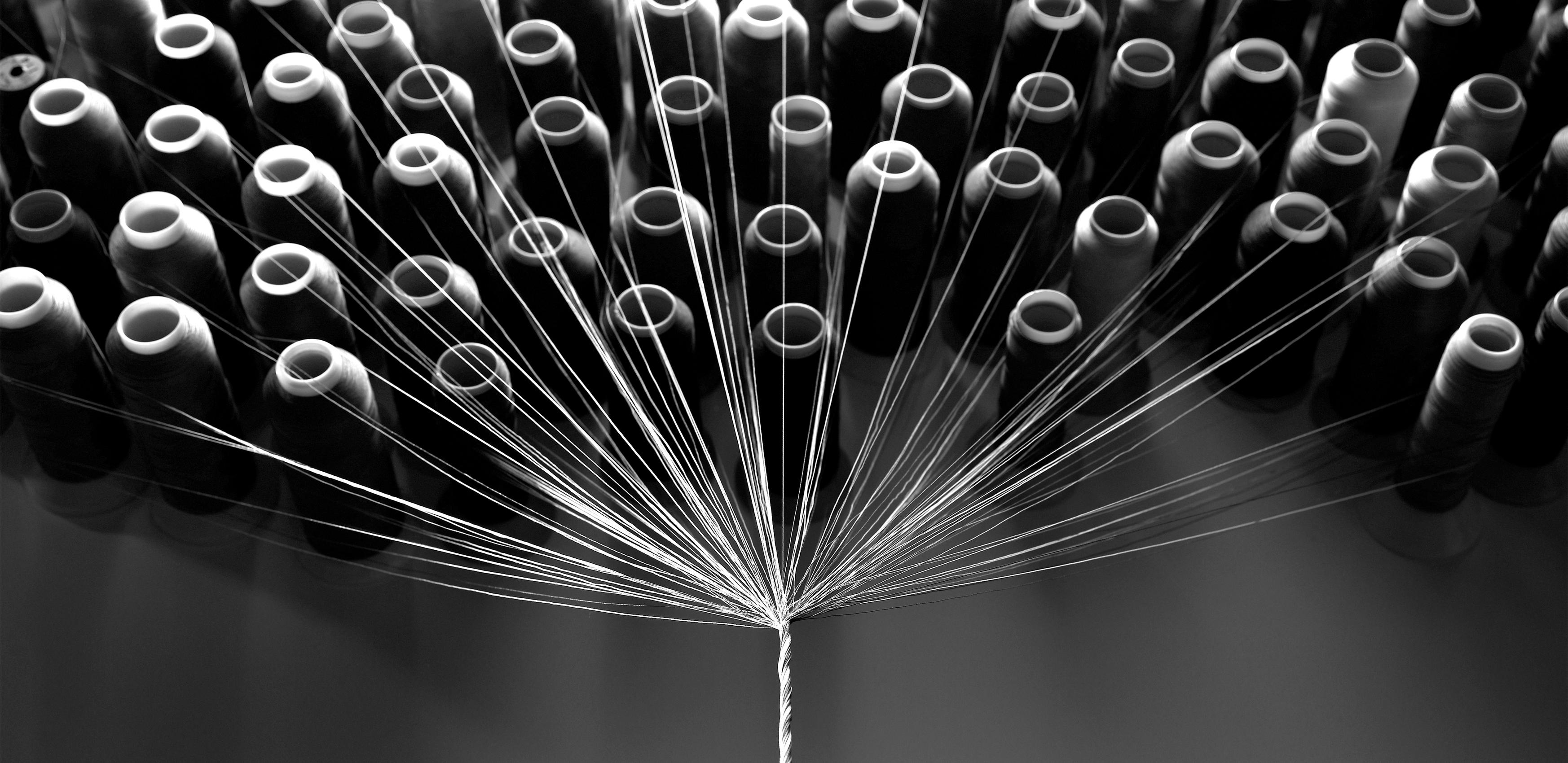 Multiple wool yarns with twisted material in the forefront of the image