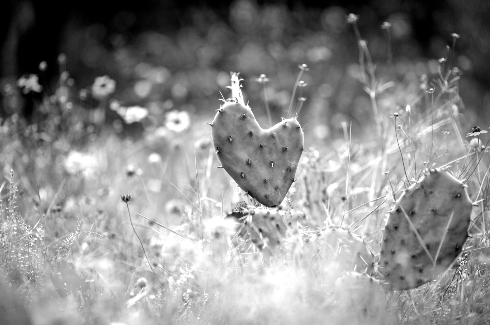 Procedural compliance breaches trigger record fines