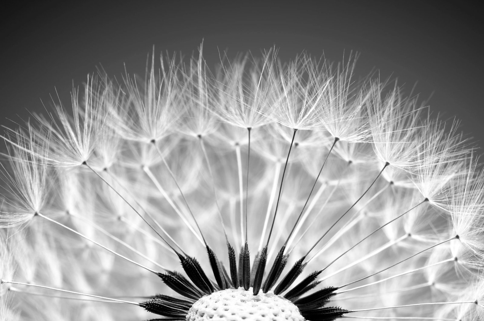 Antitrust enforcement 2025 politics, fines and compliance