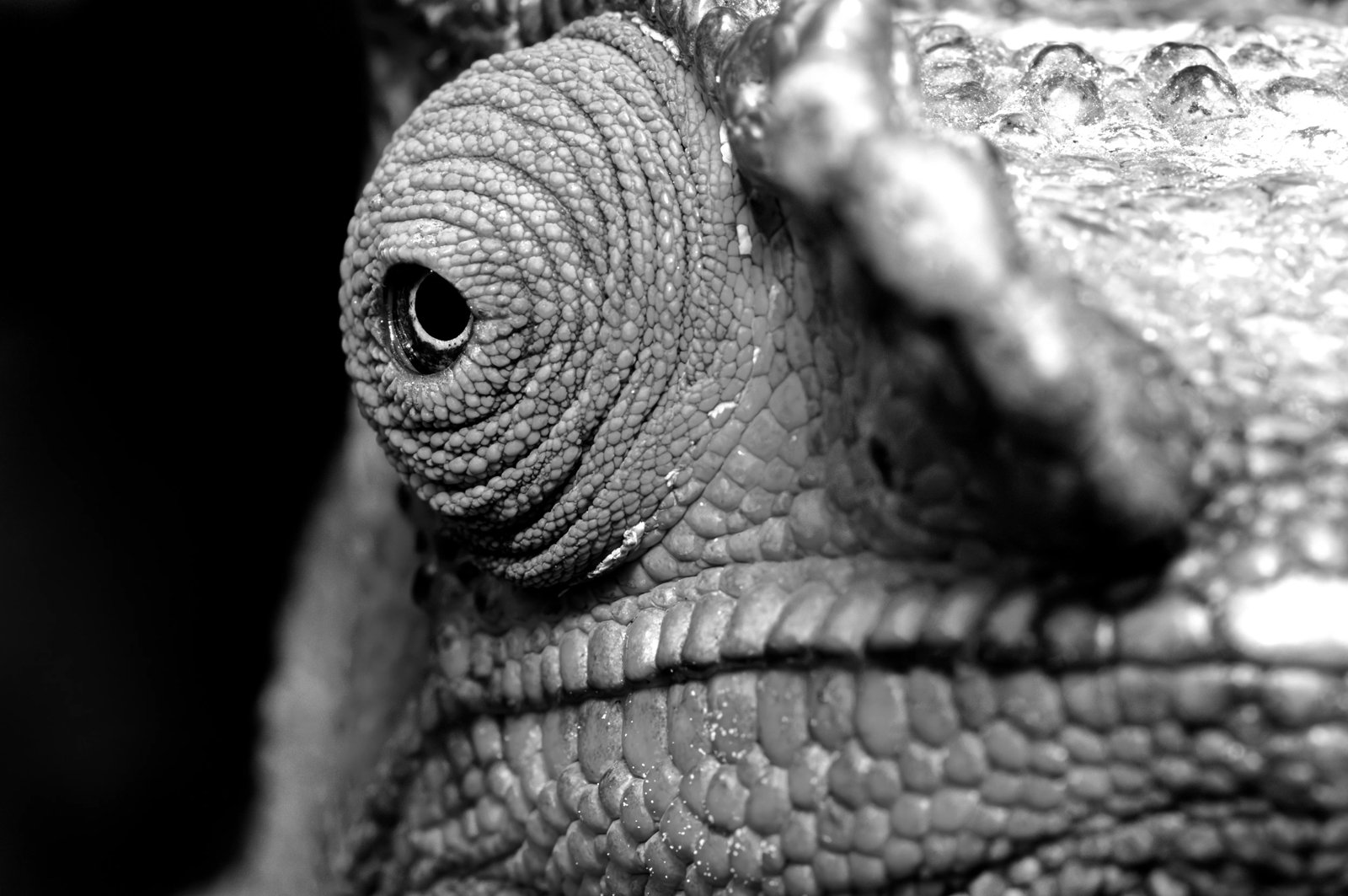 Antitrust enforcement expands with dawn raids and new powers