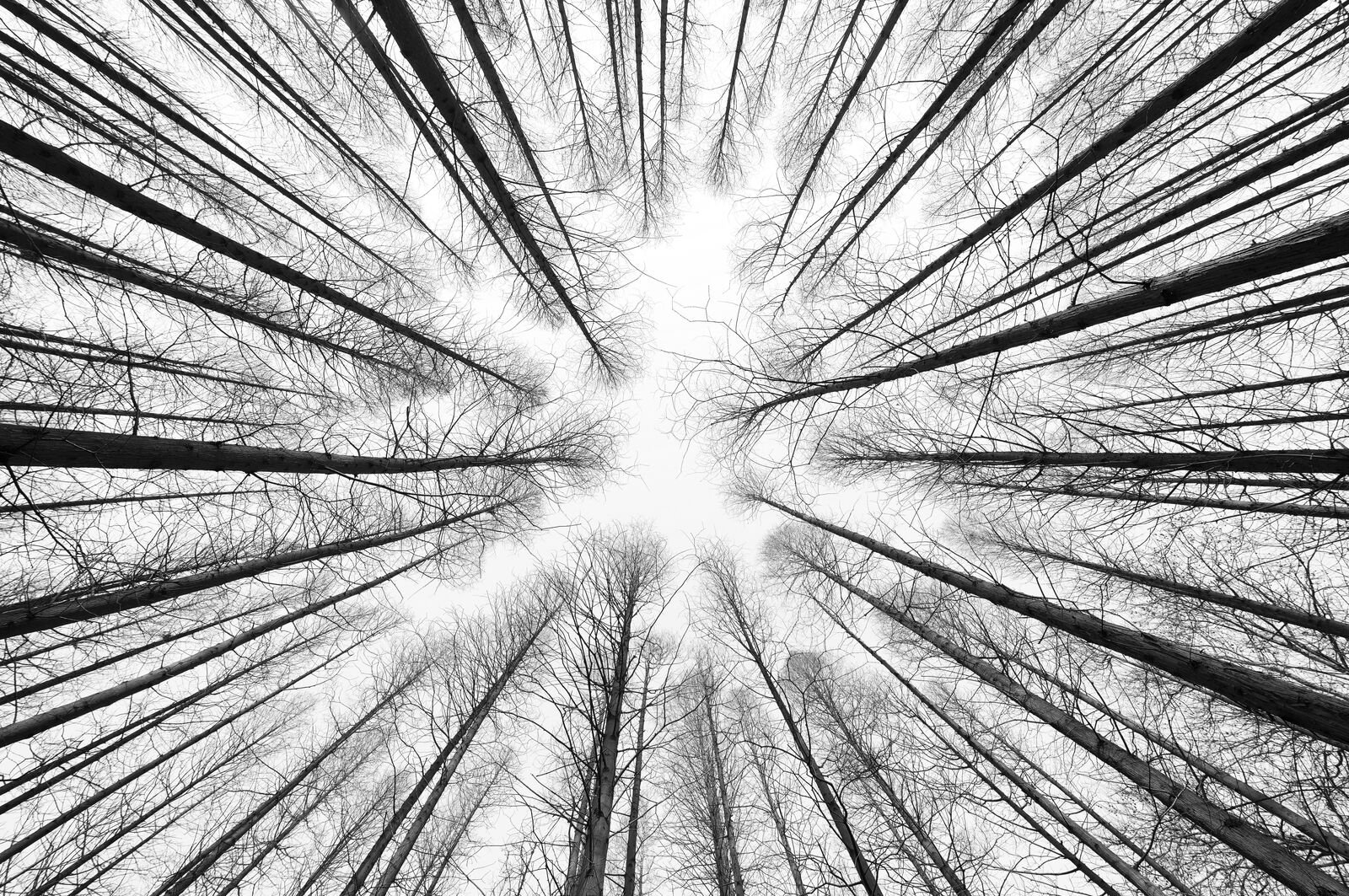 A O Shearman advises on debut issuance of green bonds by Bank Millennium