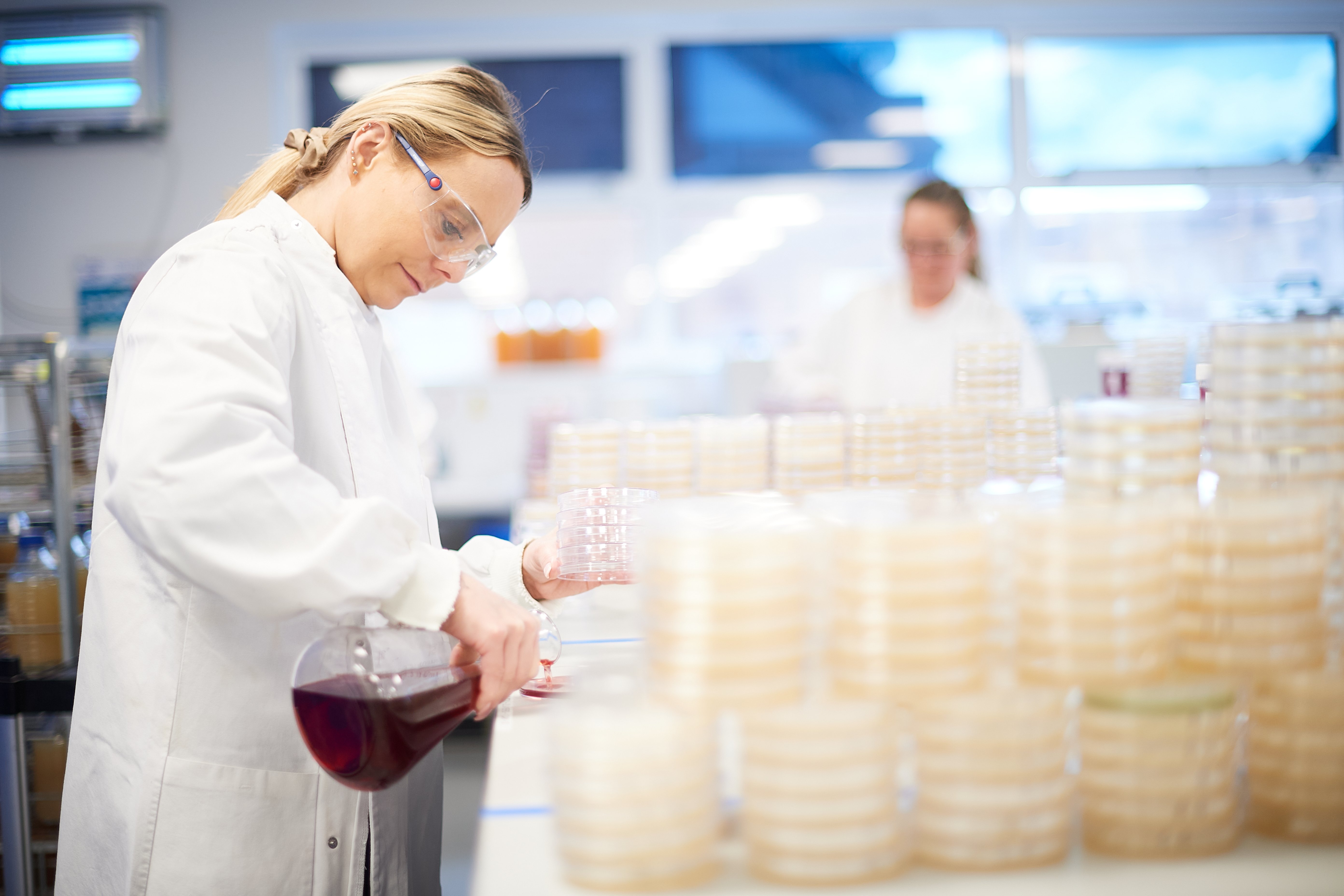 Laboratory technician conducting microbiological testing by preparing culture plates in a food testing laboratory environment. Show more lines