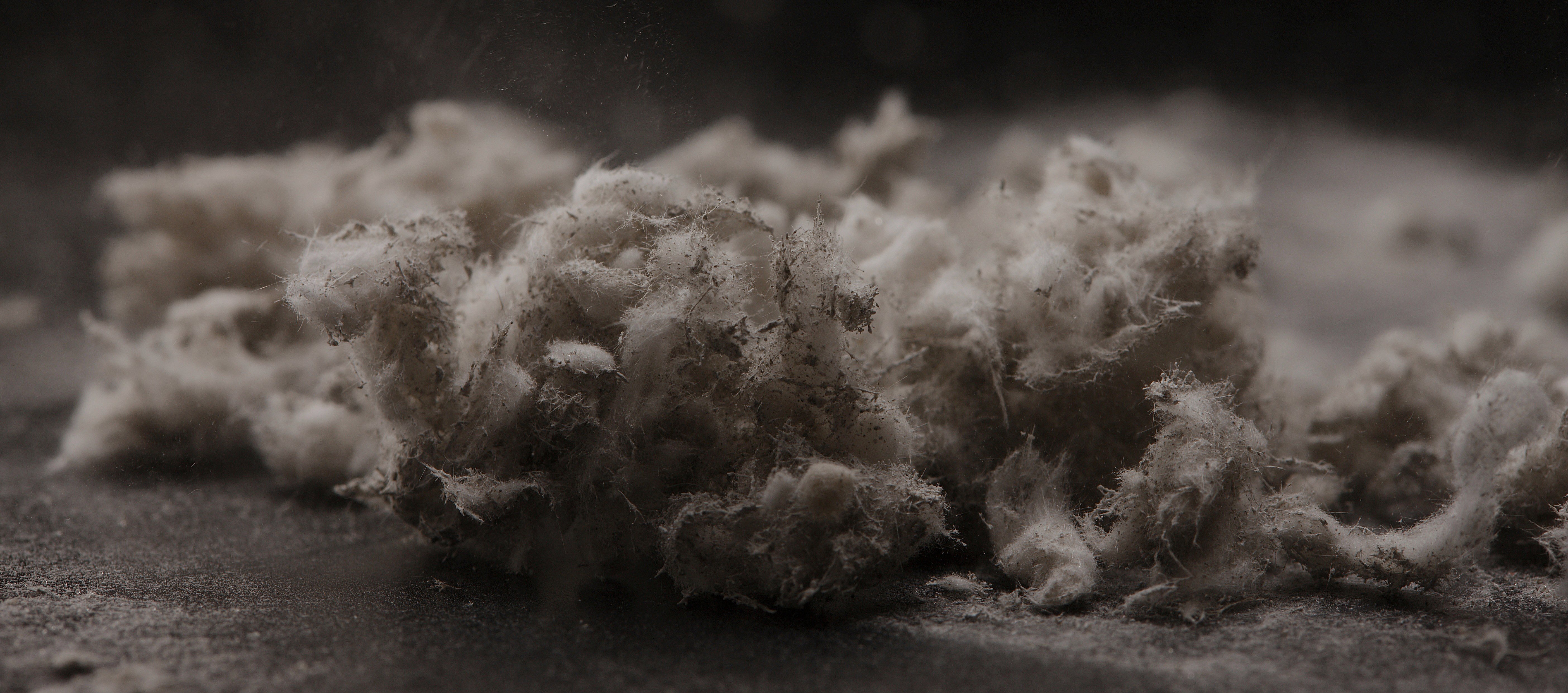 Asbestos