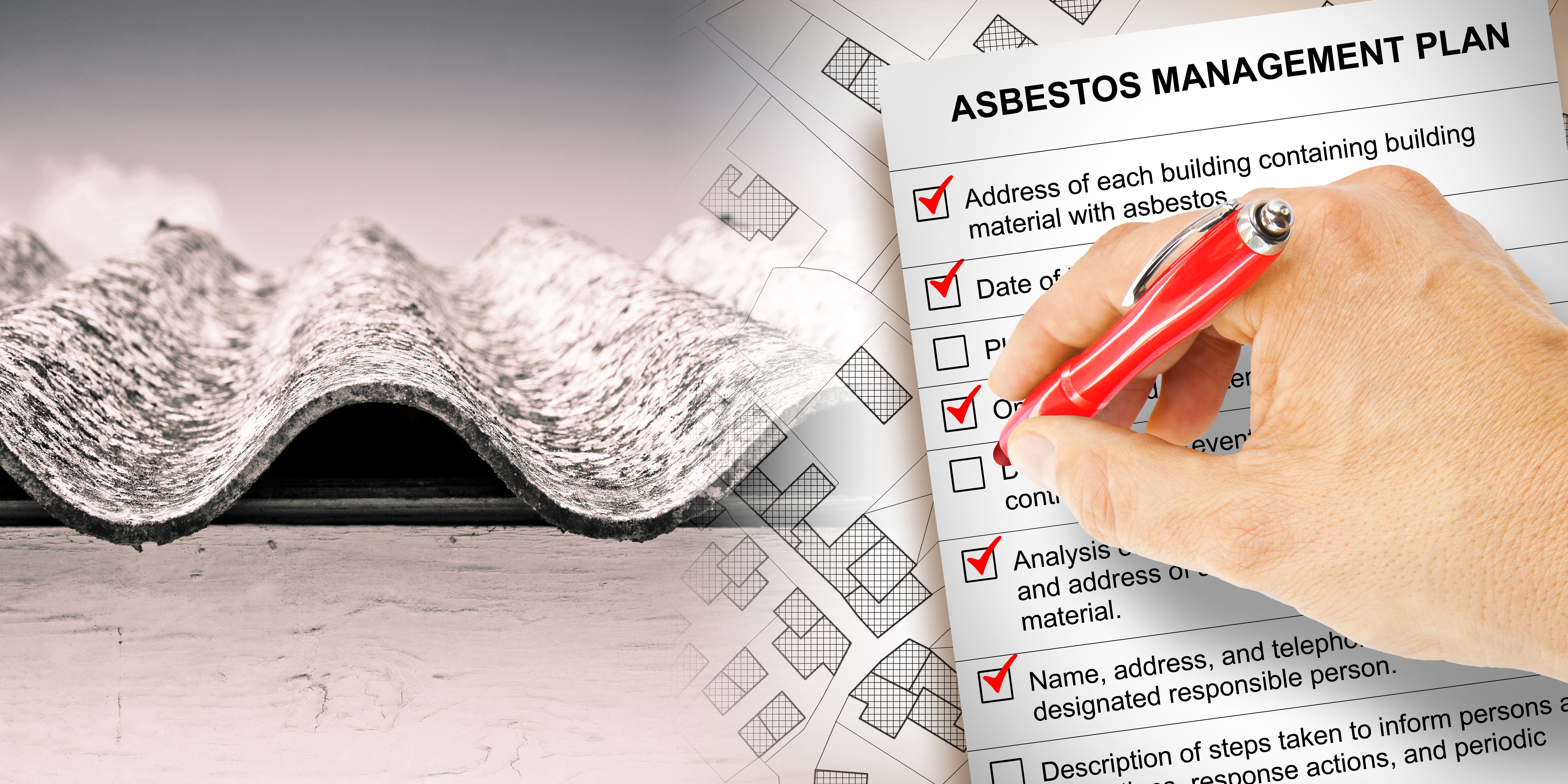 Asbestos management plans