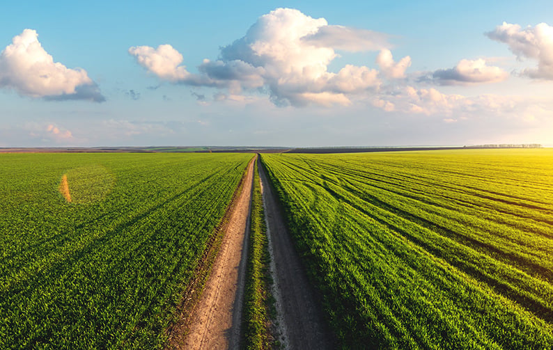 solutions for agrochemical and biological product studies