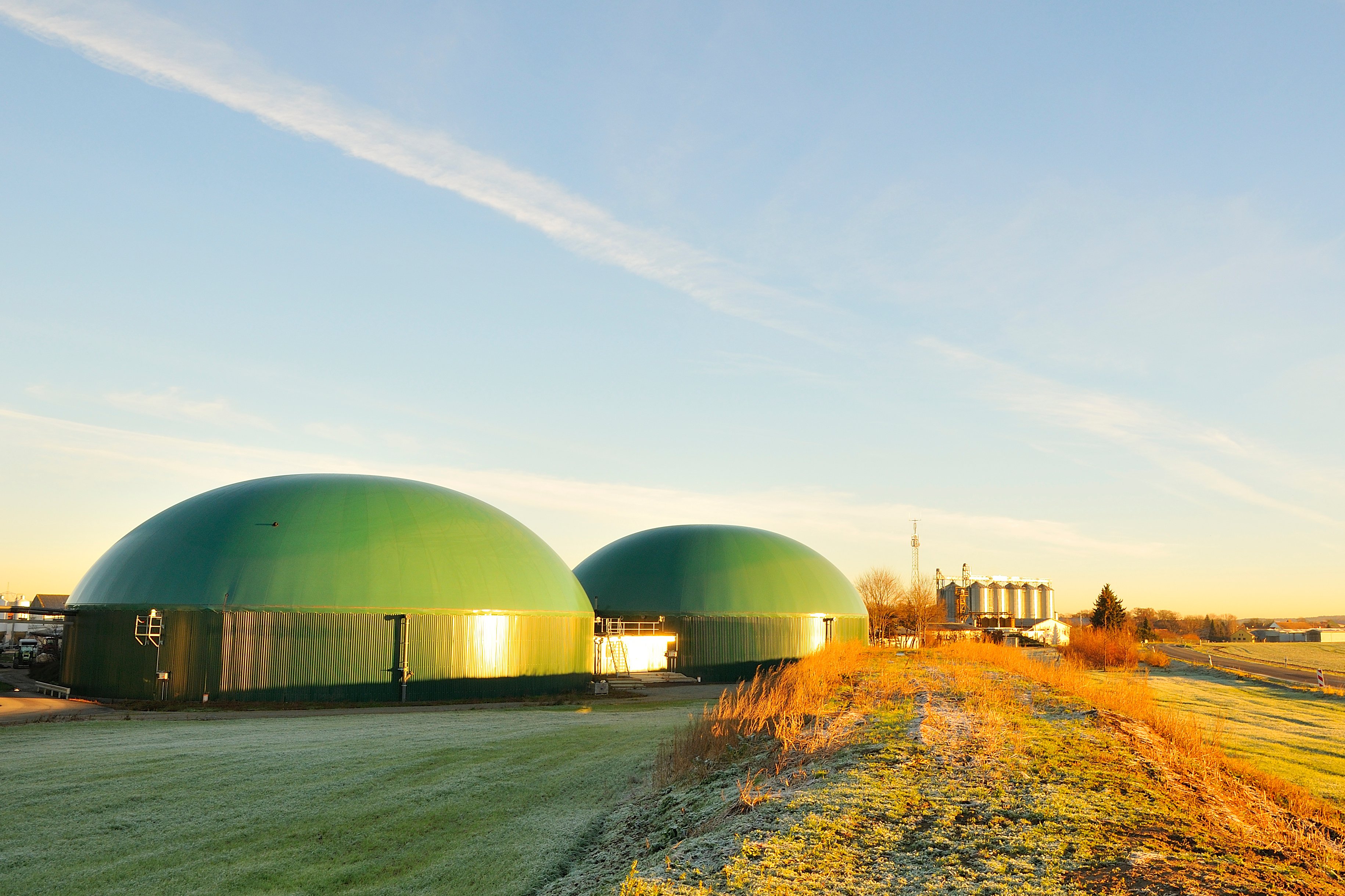 Biogas