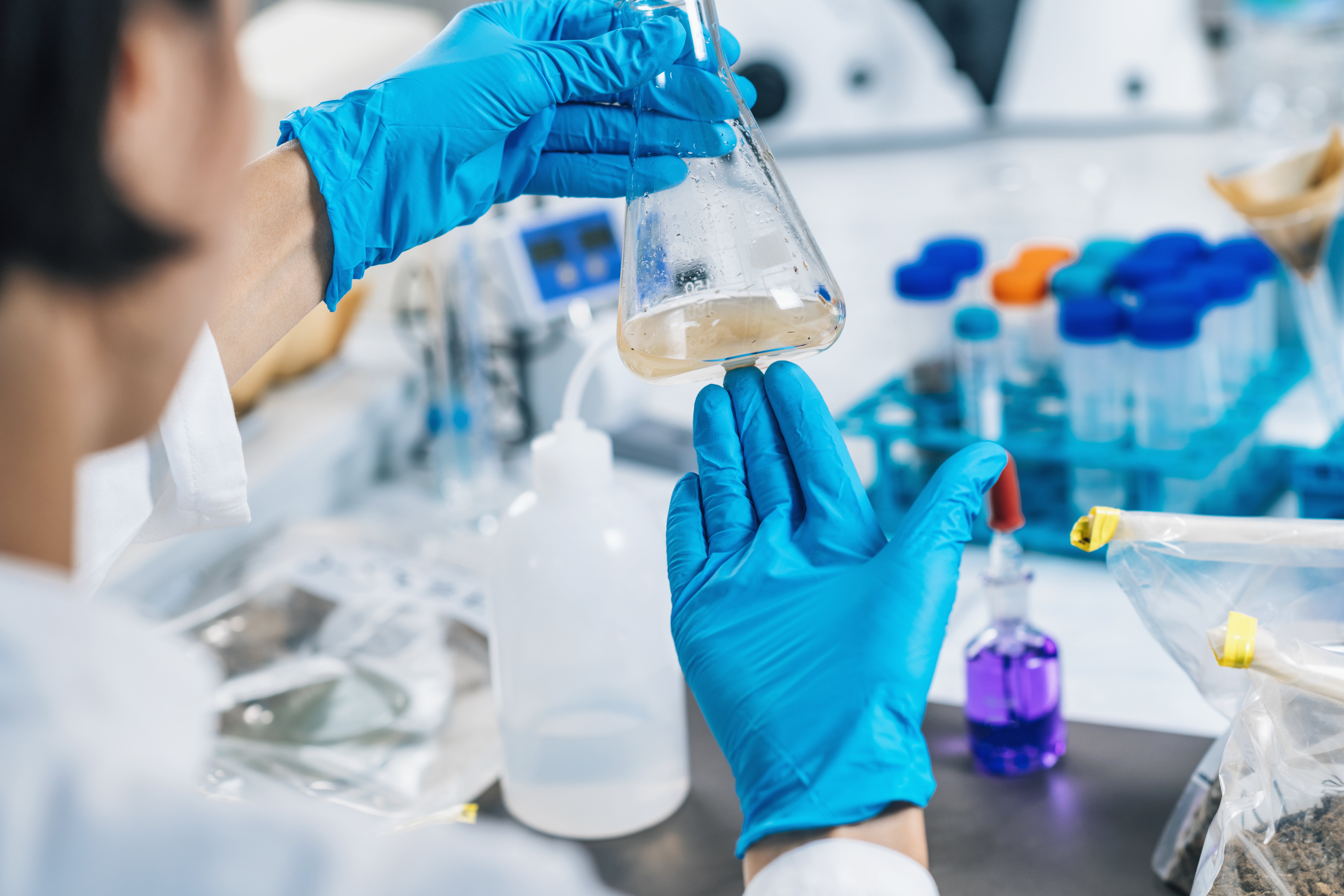 Scientist wearing blue gloves holding an Erlenmeyer flask and transferring liquid with a pipette in a laboratory setting